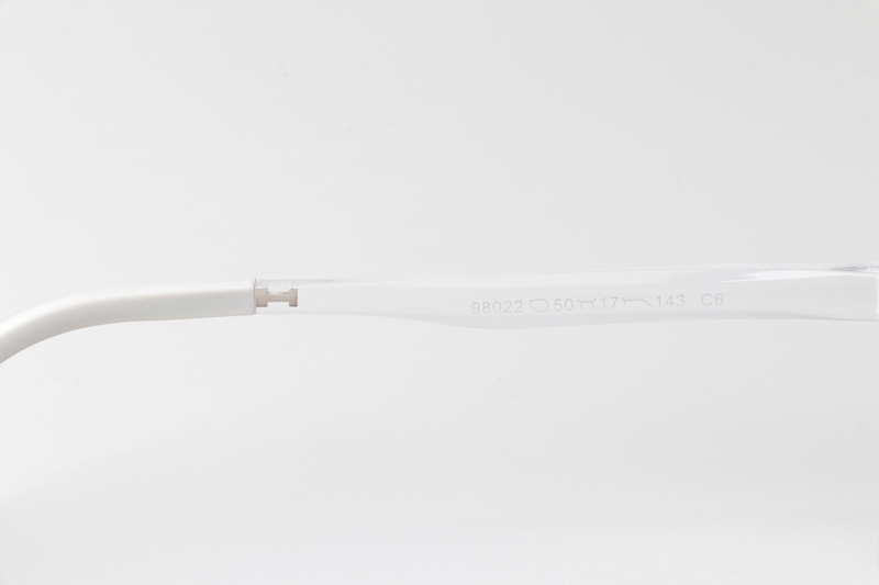 AKM98022 Eyeglasses Transparent