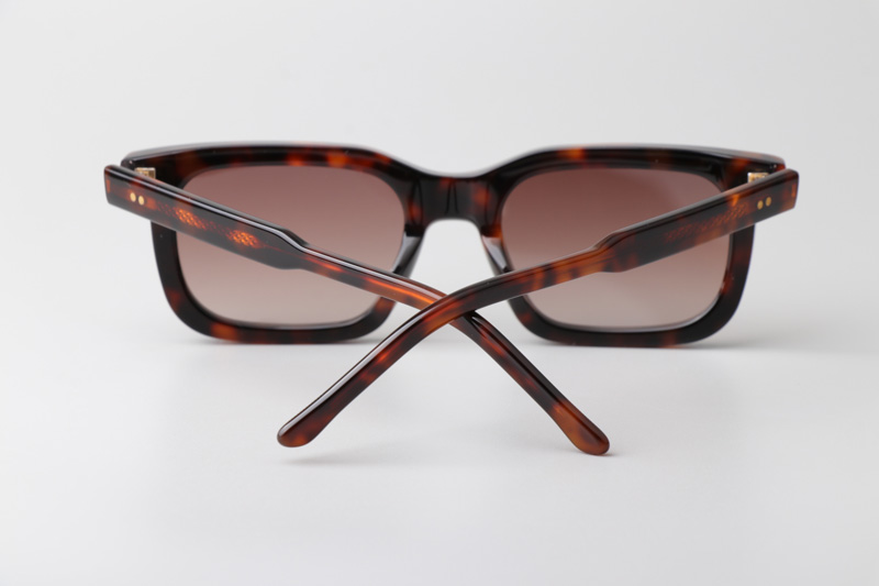 Arnold Sunglasses Tortoise Gradient Brown