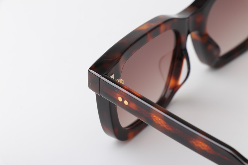 Arnold Sunglasses Tortoise Gradient Brown
