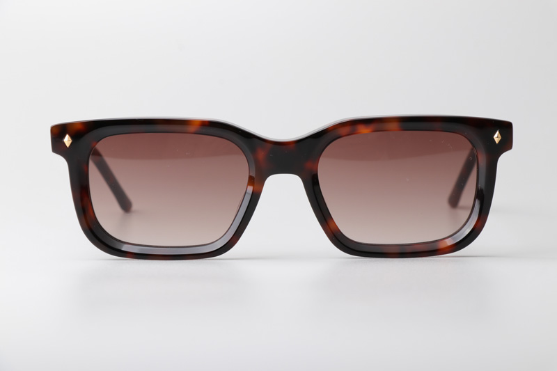 Arnold Sunglasses Tortoise Gradient Brown