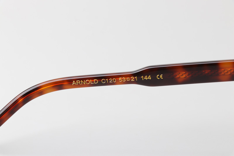Arnold Sunglasses Tortoise Gradient Brown