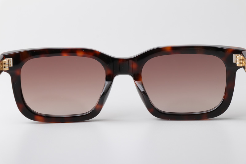 Arnold Sunglasses Tortoise Gradient Brown