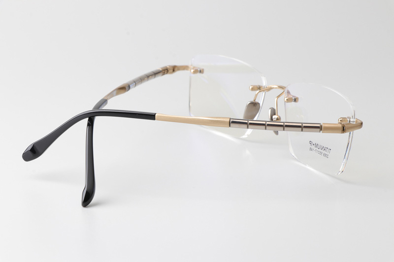 BS2069 Eyeglasses Gold