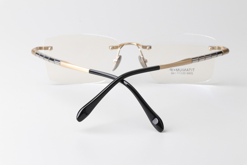BS2069 Eyeglasses Gold