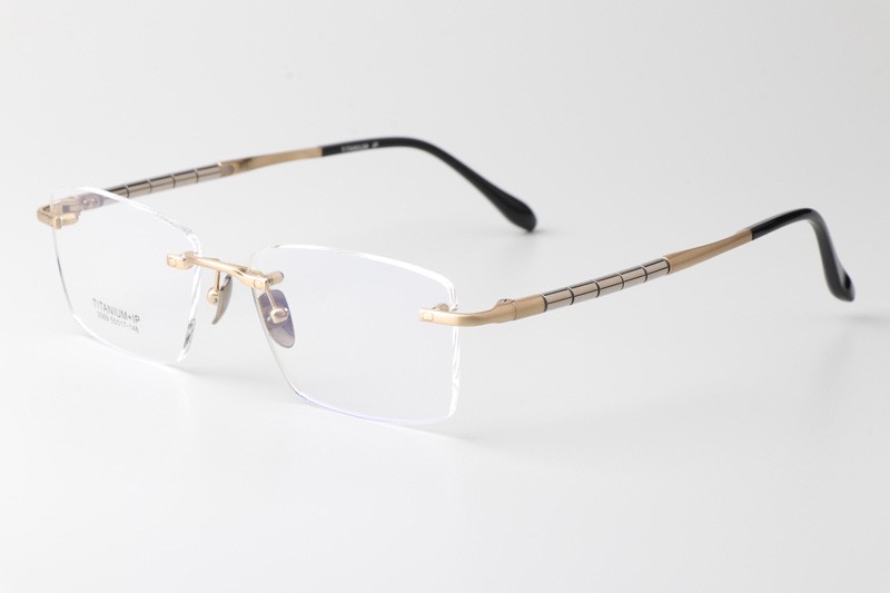 BS2069 Eyeglasses Gold