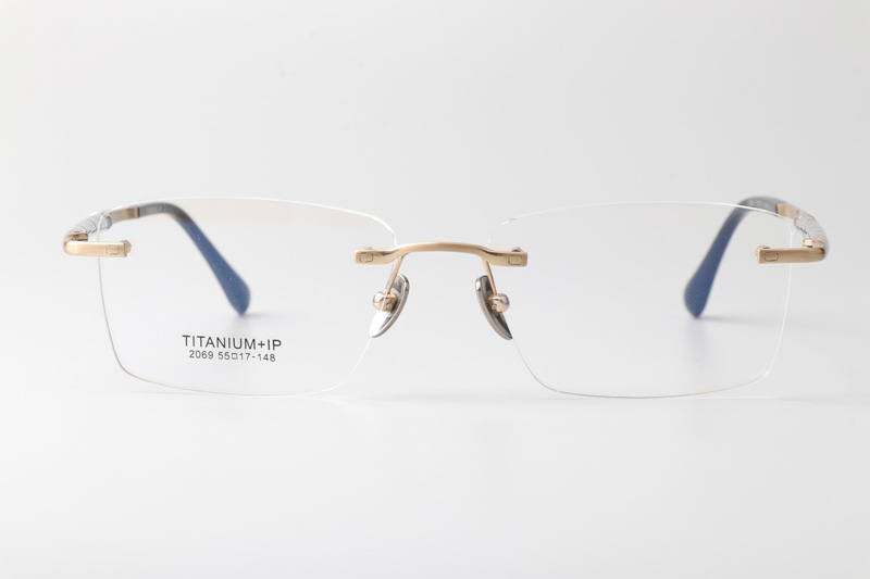 BS2069 Eyeglasses Gold
