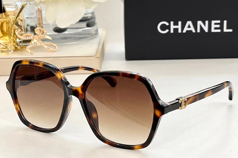 CH3421 Sunglasses In Tortoise