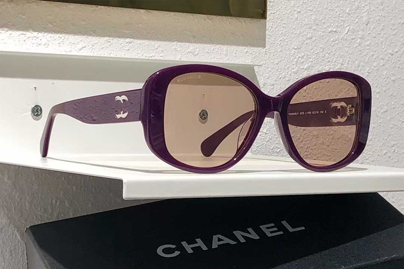CH3476 Sunglasses Purple Brown