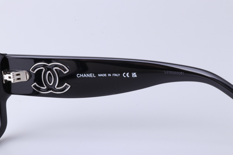 CH3481 Eyeglasses Black Silver