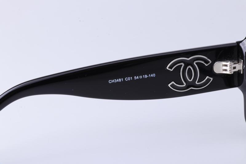 CH3481 Eyeglasses Black Silver