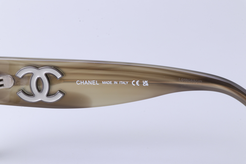 CH3481 Eyeglasses Green