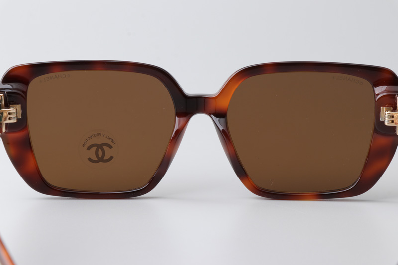 CH3486 Sunglasses Tortoise Brown