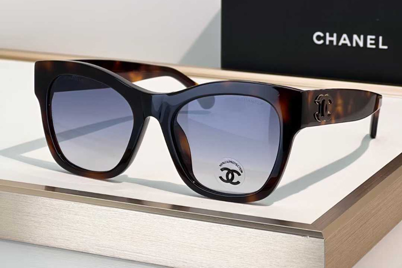 CH3498 Sunglasses Tortoise Gradient Blue