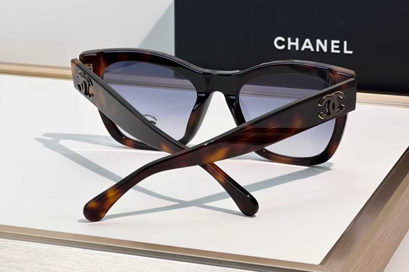 CH3498 Sunglasses Tortoise Gradient Blue