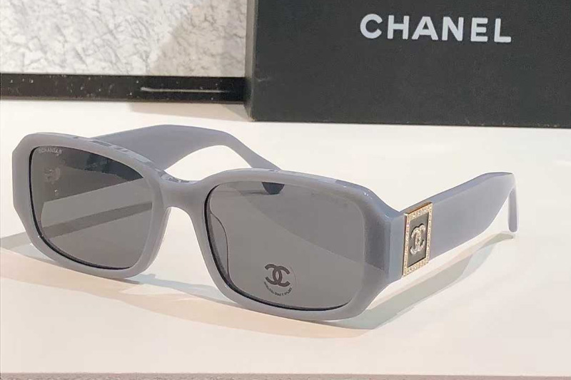 CH4366 Sunglasses Gray Gray