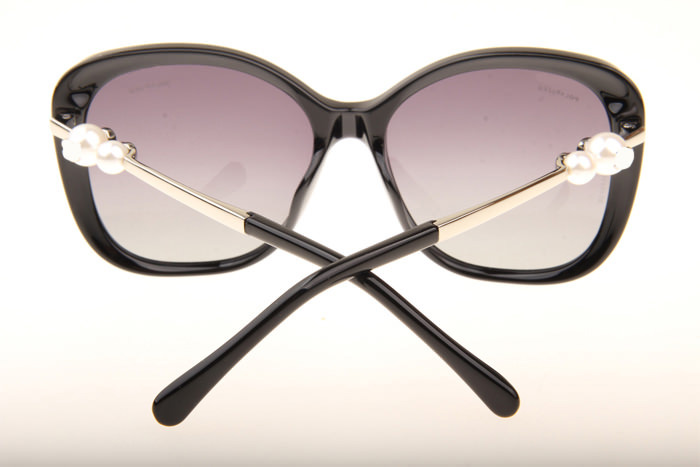 CH5339 Sunglasses In Black Silver