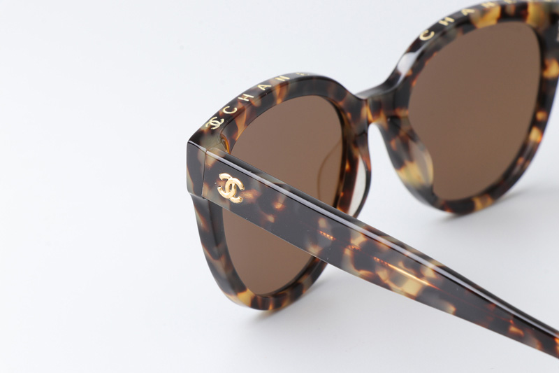 CH5414 Sunglasses Tortoise Brown
