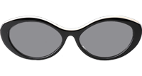 CH5416 Sunglasses Black White Gray