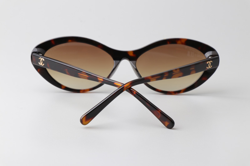 CH5416 Sunglasses Tortoise Gradient Brown