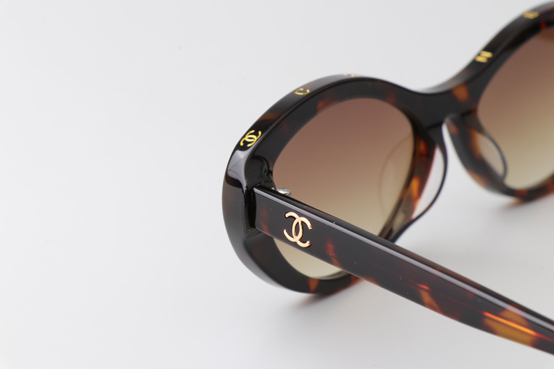 CH5416 Sunglasses Tortoise Gradient Brown