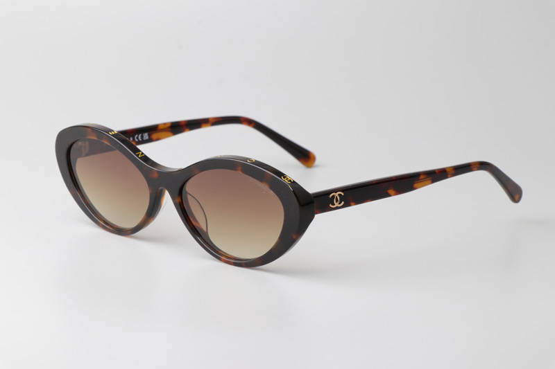 CH5416 Sunglasses Tortoise Gradient Brown