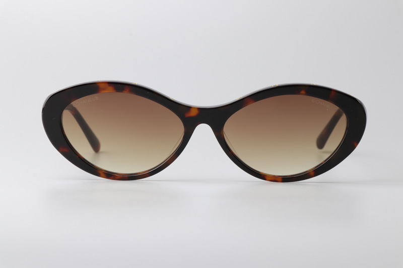 CH5416 Sunglasses Tortoise Gradient Brown