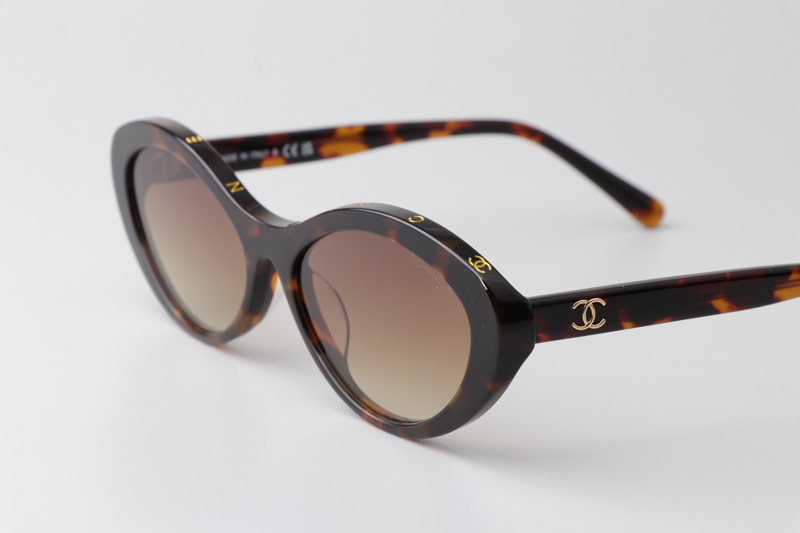 CH5416 Sunglasses Tortoise Gradient Brown