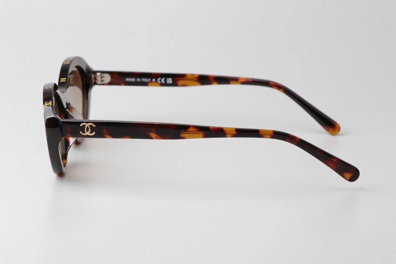 CH5416 Sunglasses Tortoise Gradient Brown