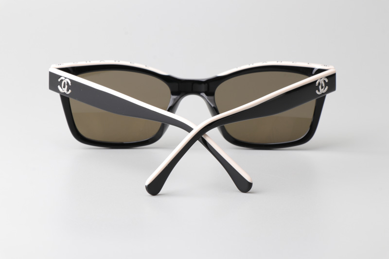 CH5417 Sunglasses Black Silver White Brown