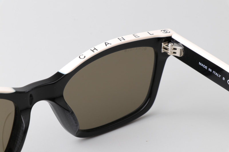 CH5417 Sunglasses Black Silver White Brown