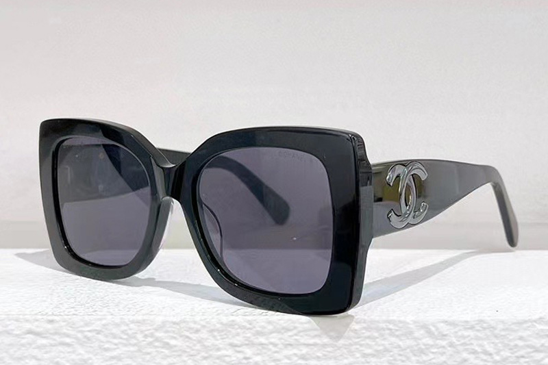 CH5494 Sunglasses In Black