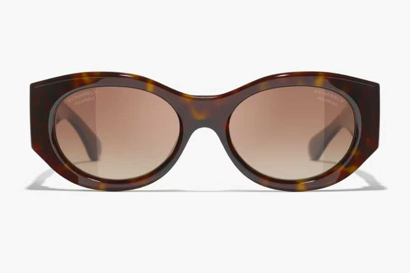 CH5536Q Sunglasses Tortoise Gradient Brown
