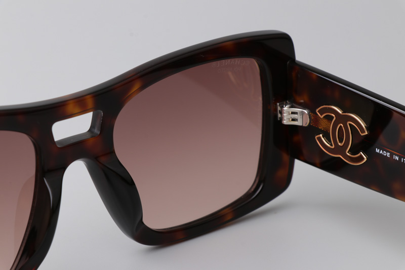 CH5539 Sunglasses Tortoise Gradient Brown