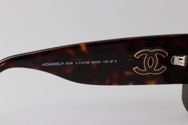 CH5539 Sunglasses Tortoise Gradient Brown