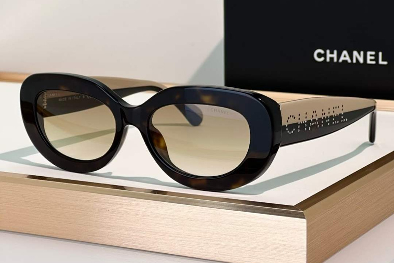 CH5562B Sunglasses Tortoise Gradient Brown