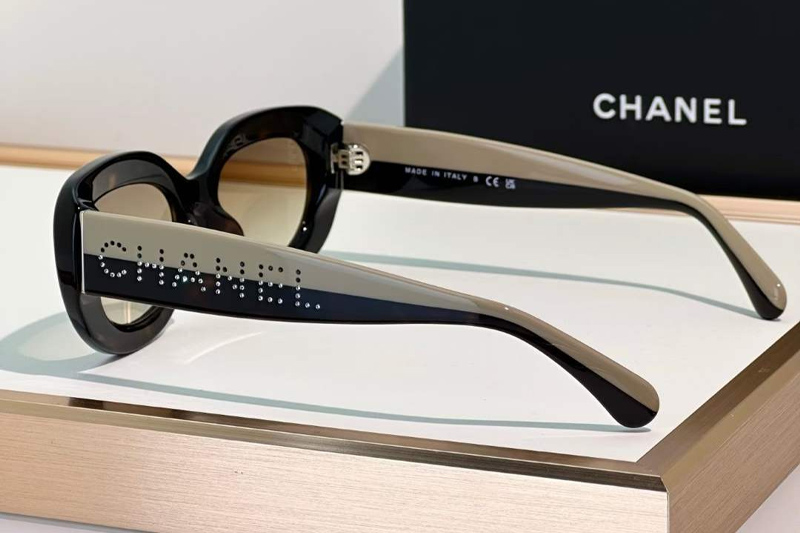 CH5562B Sunglasses Tortoise Gradient Brown