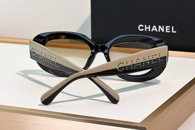CH5562B Sunglasses Tortoise Gradient Brown