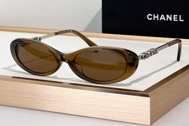 CH5565 Sunglasses Brown Brown