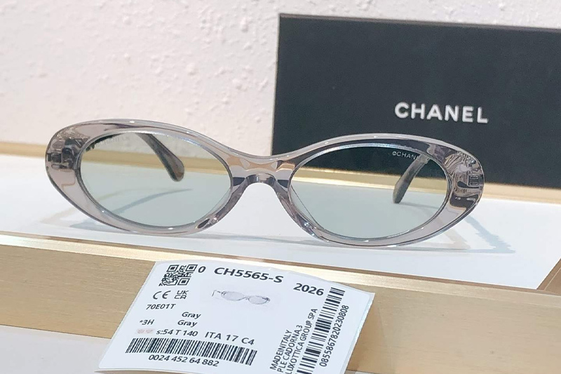 CH5565 Sunglasses Gray Gray