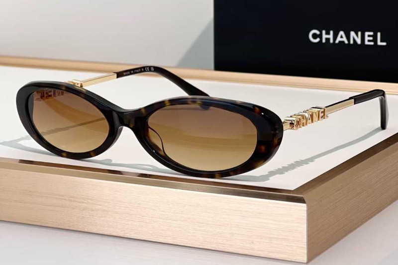 CH5565 Sunglasses Tortoise Gradient Brown