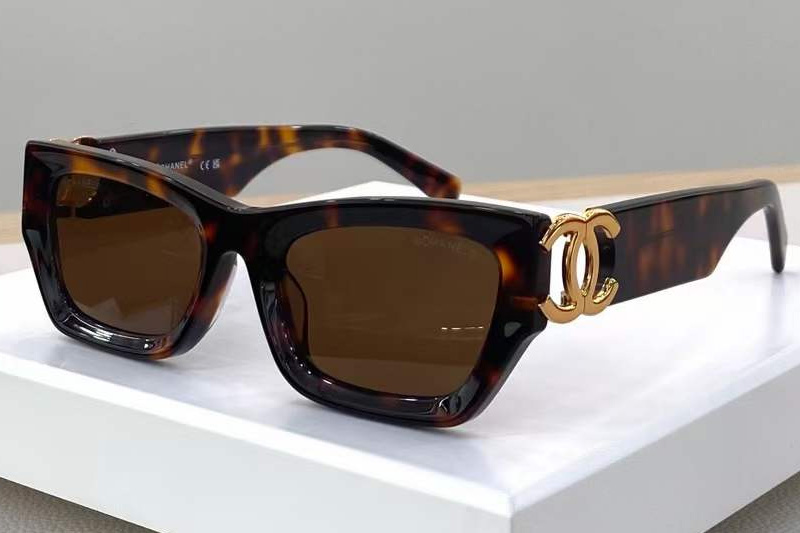 CH5837 Sunglasses Tortoise Brown