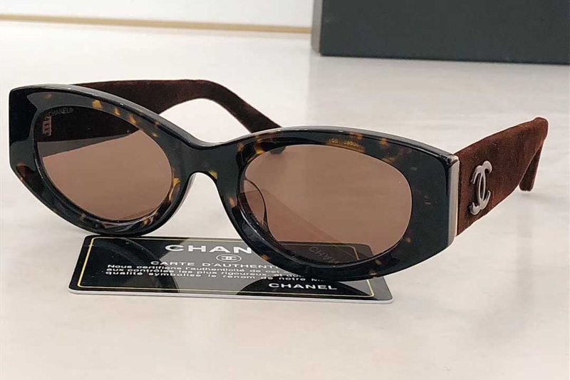 CH6066 Sunglasses Tortoise Brown