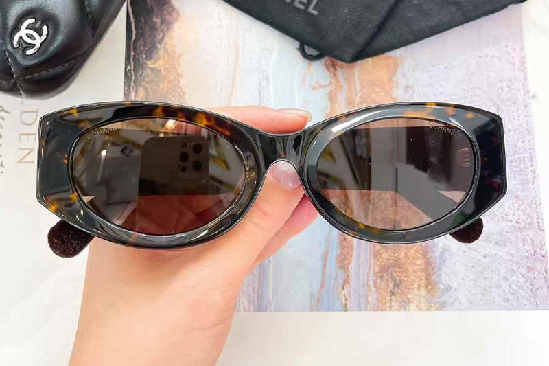 CH6066 Sunglasses Tortoise Brown