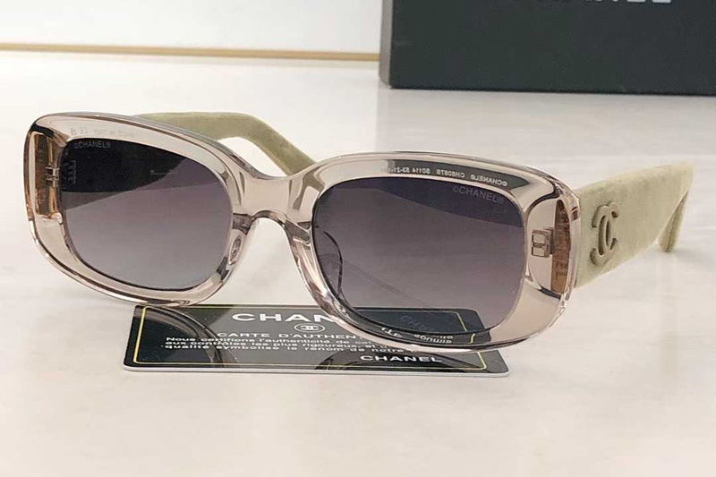 CH6067 Sunglasses Transparent Gradient Gray