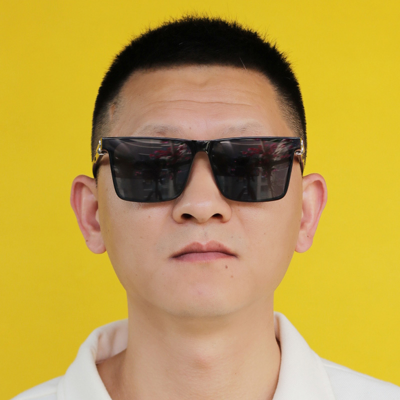 CH8198 Sunglasses Black Gray