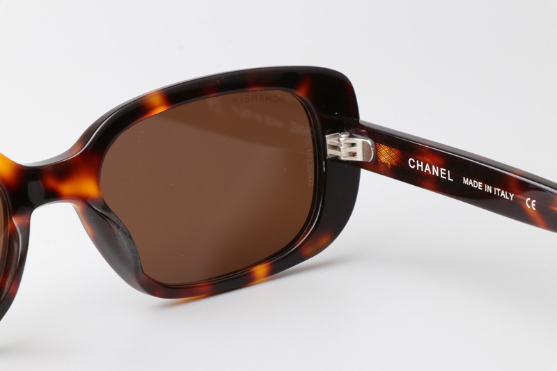 CH9011 Sunglasses Tortoise Brown