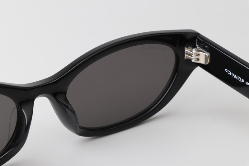 CH9134B Sunglasses Black Gray