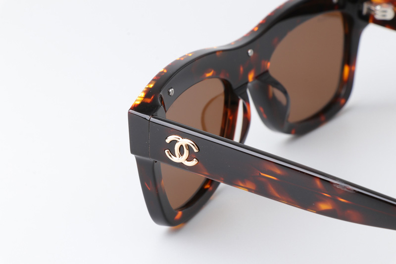 CH9143 Sunglasses Tortoise Brown