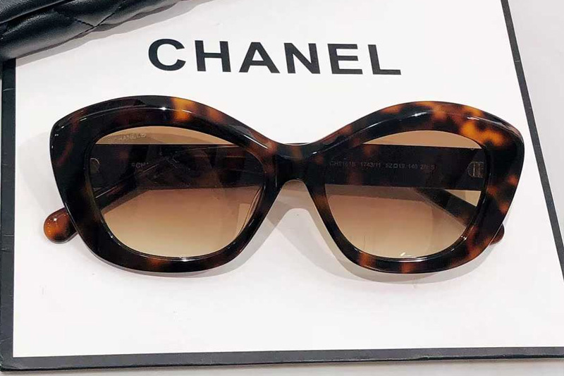 CH9161B Sunglasses Tortoise Gradient Brown