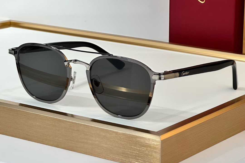 CT0012S Sunglasses Silver Gray